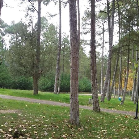 Camping Caravaning Cuenca Куенка Екстер'єр фото