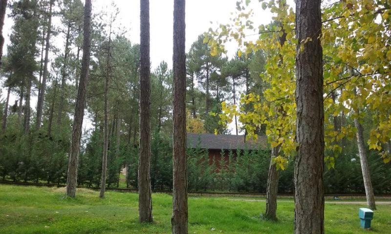 Camping Caravaning Cuenca Куенка Екстер'єр фото