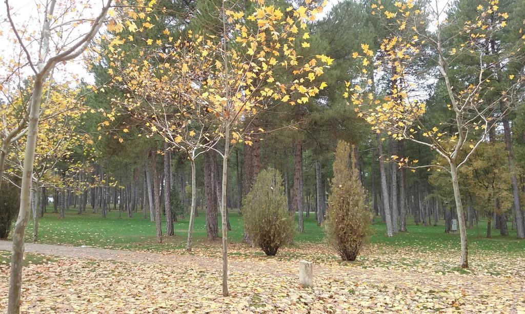 Camping Caravaning Cuenca Куенка Екстер'єр фото